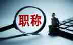 晋升正高级医师工作总结8篇