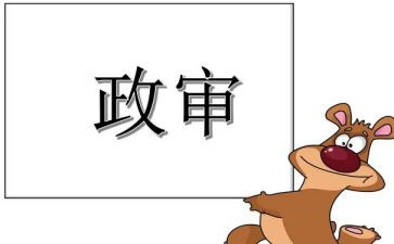 政审的个人总结5篇