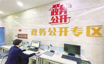 2024政务公开工作总结范文5篇
