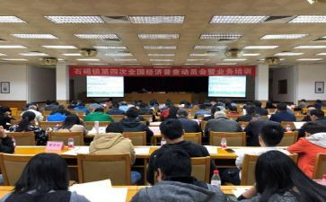 镇统计办工作总结6篇