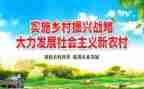 乡村振兴的调查报告8篇
