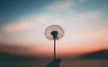 这样的人让我敬佩白衣天使作文7篇