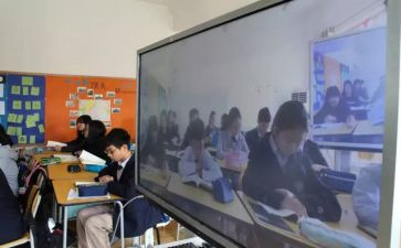 315直播心得体会优质7篇