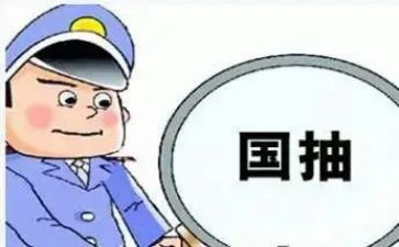 质检个人总结报告8篇