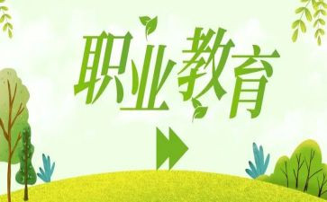 新入职教师的工作总结6篇