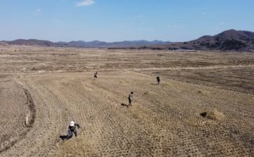 人居环境乡村环境治理调研报告6篇