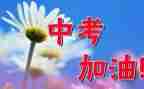 老师中考演讲稿6篇