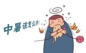 社会实践心得体会初中暑假7篇