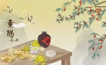 社区开展重阳活动方案6篇