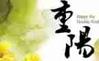 敬老爱老重阳节演讲稿8篇