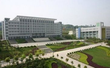 毕业自我鉴定中专300字6篇