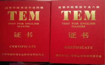 专四学习心得体会模板6篇