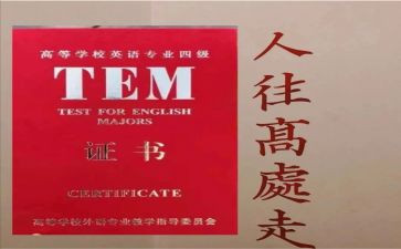 专四学习心得体会6篇