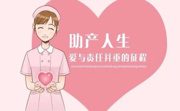2024年助产个人总结8篇