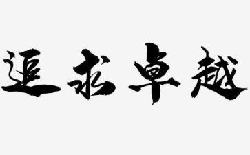 追求卓越的心得体会5篇