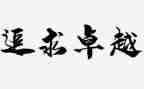 追求卓越的心得体会5篇