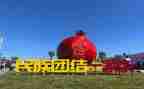 学习铸牢中华民族共同体意识心得体会7篇