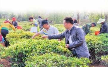 云上助农心得体会5篇