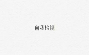 自检工作总结5篇