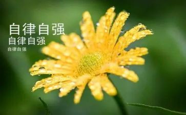 少年自强不息的演讲稿6篇