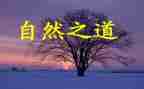 听《自然之道》的心得体会5篇