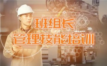 村组长年度工作总结范文6篇