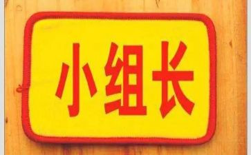 组长工作总结范文6篇