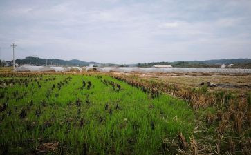 租赁机械合同模板8篇
