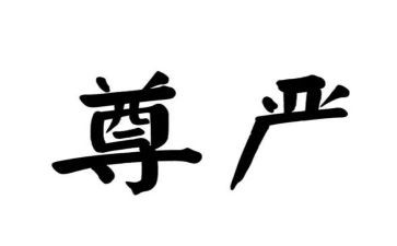 为尊严而战演讲稿7篇