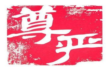 尊严教学反思6篇