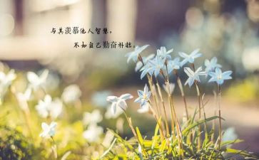做最好老师的心得体会优质5篇