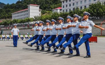 组训的工作总结8篇